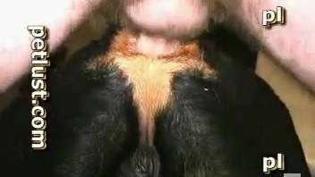 Dominant guy screwing his canine's snug tiny vagina