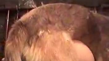 Shaggy dog penetrated my wife's dripping slit in the doggy position.