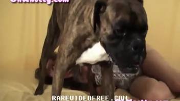 Collection of the steamiest human-animal intercourse encounters