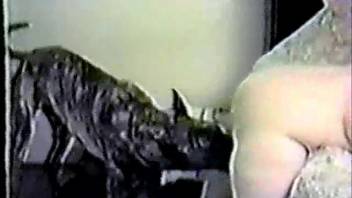 Busty dark-haired woman overpowered by an extremely perverted canine