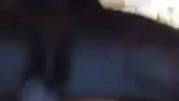 Plump ass animal lover is penetrated by a tiny canine