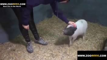 Alluring bestiality orifice demolished by a rigid swine cock