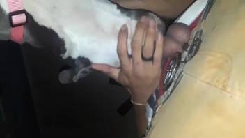 Well-endowed guy throat-fucking a female dog's mouth passionately