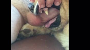 Doggystyle deepthroat pounding by a super controlling guy