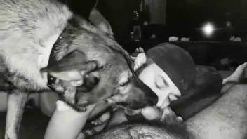 Curvy guys relishing a homosexual trio involving a canine