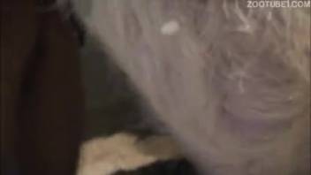 Must-see intimate animal sex video up close
