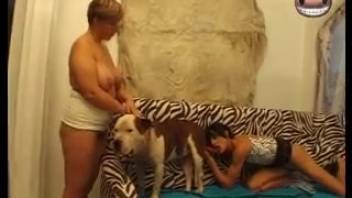 Two enticing vixens are giving oral pleasure to their well-disciplined young pup
